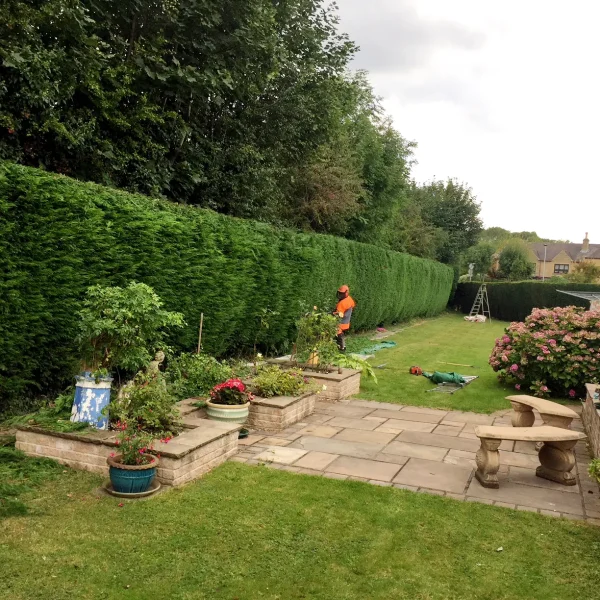 Hedge Cutting