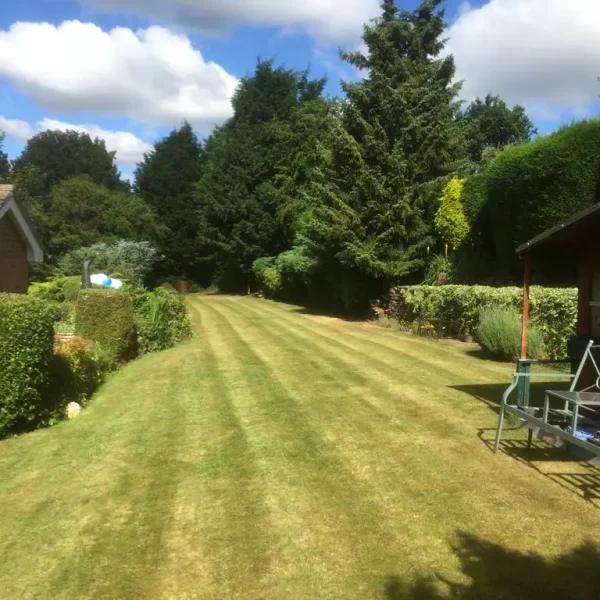Grass Cut with stripes all the way up!