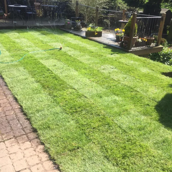 Turf laying
