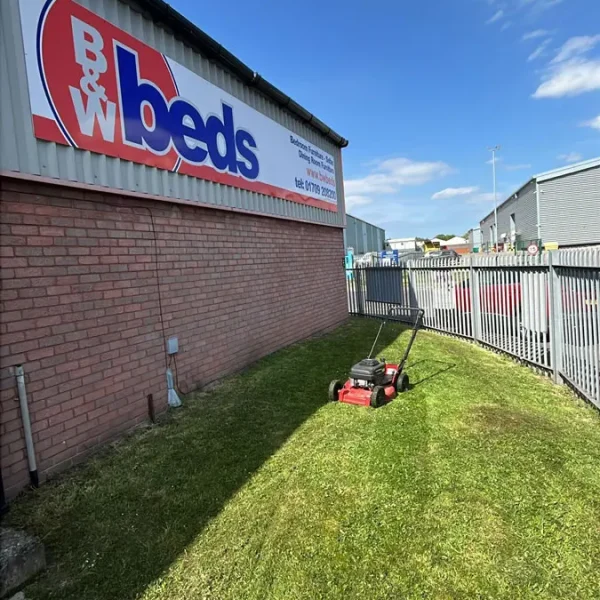 Commercial Grass Cutting
