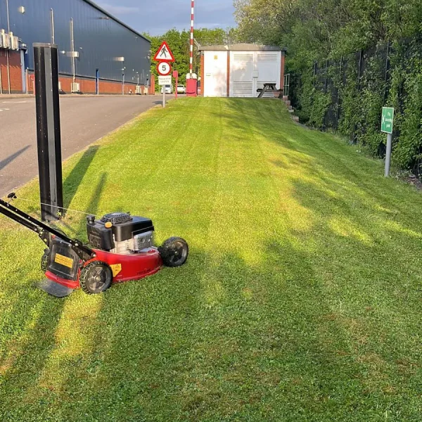 Commercial Grass Cutting