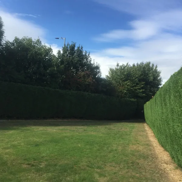 Grass cutting and neat hedge trimming